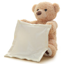 Load image into Gallery viewer, Peek a Boo Teddy Bear by Zen Solution